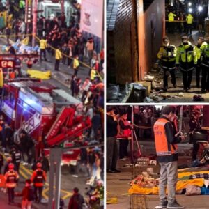 Tragedia en Seúl, mueren 146 en estampida humana