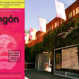 Artistas mixtecos presentarán exposición