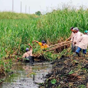 Ayuntamiento de Nanchital limpieza en extenso canal