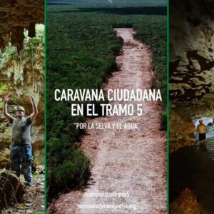 Organizan caminatas por la selva