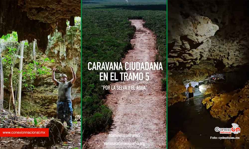 Organizan caminatas por la selva
