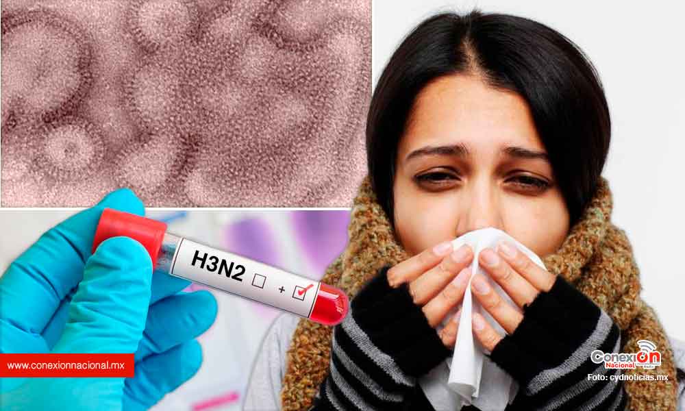 Circula la cepa de influenza H3N2, es potencialmente mortal