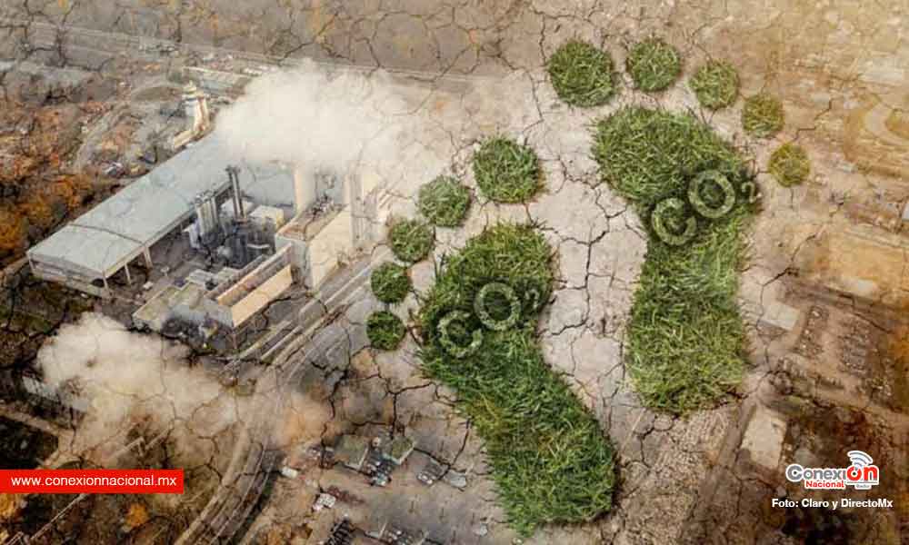 Cómo compensar la huella de carbono