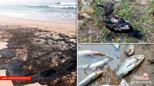 ¡Tragedia! Derrame de hidrocarburo afecta a las playas de Oaxaca y Pemex no hace nada.