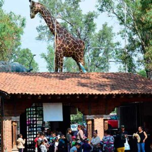 Olvido plan de modernización y rescate del zoológico de Morelia