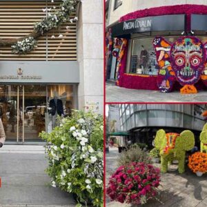 Este fin de semana, date una vuelta a FYJA Polanco en Flores