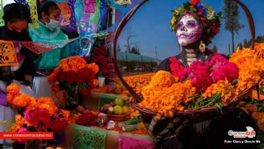 Ponle color a los altares con cempasúchil y otras bellas flores de Día de Muertos