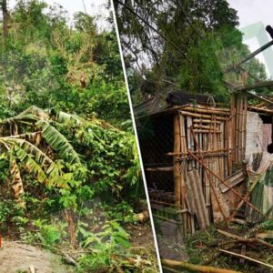 Habitantes de Antorcha Popular impiden acceso a pobladores de Agua Dulce