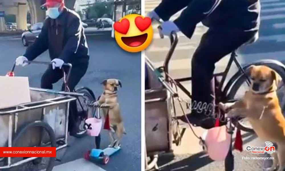 Lomito ayuda a su dueño a vender tamales