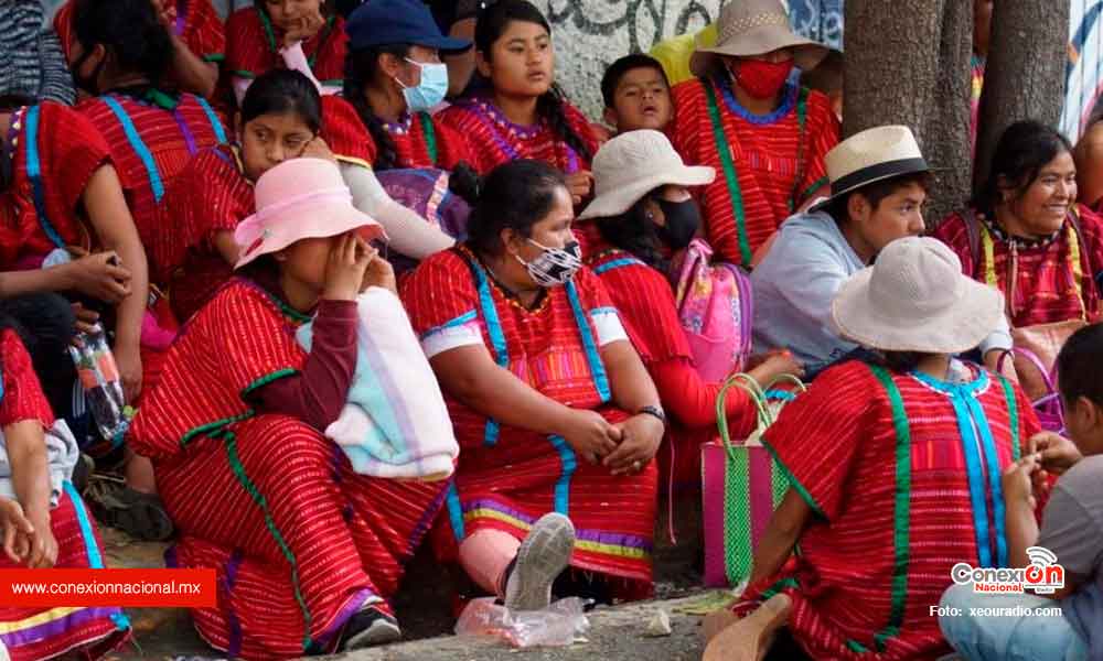 MULTI emplaza a Gobierno