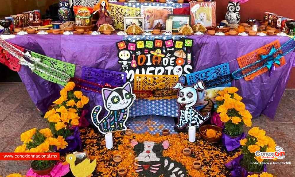 ofrenda a mis mascotitas