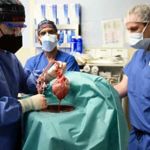Doce pacientes perdieron la batalla en espera de donación de un órgano