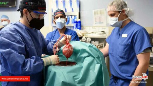 Doce pacientes perdieron la batalla en espera de donación de un órgano