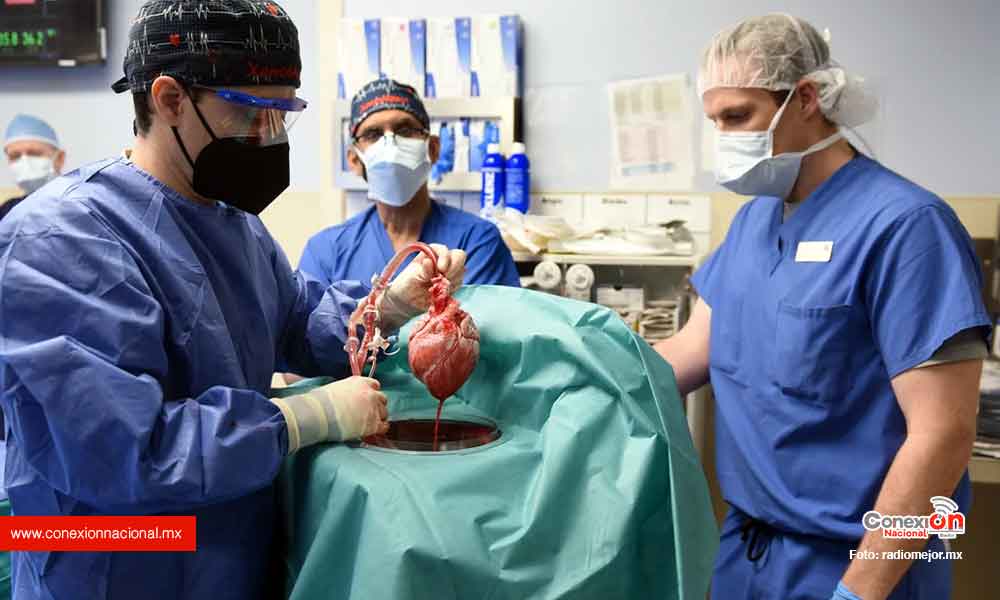 Doce pacientes perdieron la batalla en espera de donación de un órgano