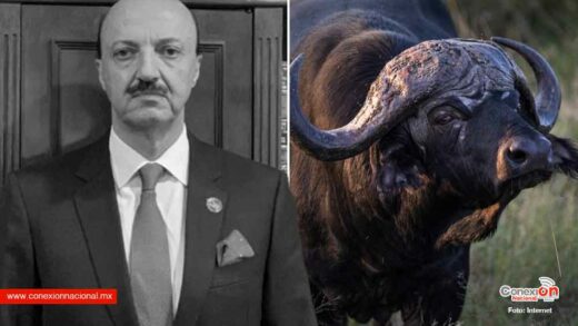 Vicepresidente de Caza agrede a un búfalo y termina muerto
