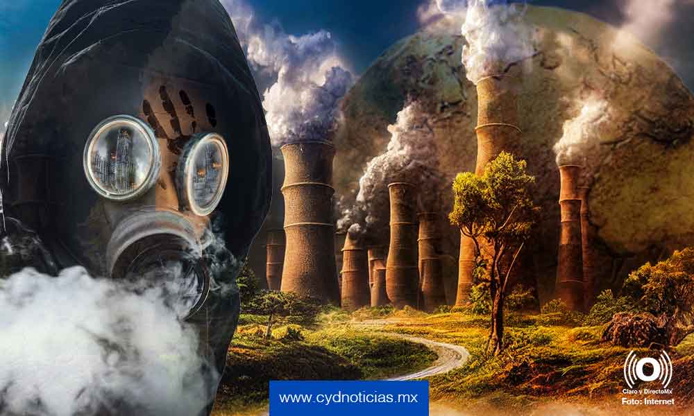 Tit tac para el planeta por la crisis ambiental