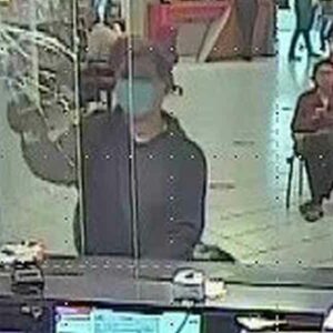 Ladrones se dan su ‘Buen Fin’