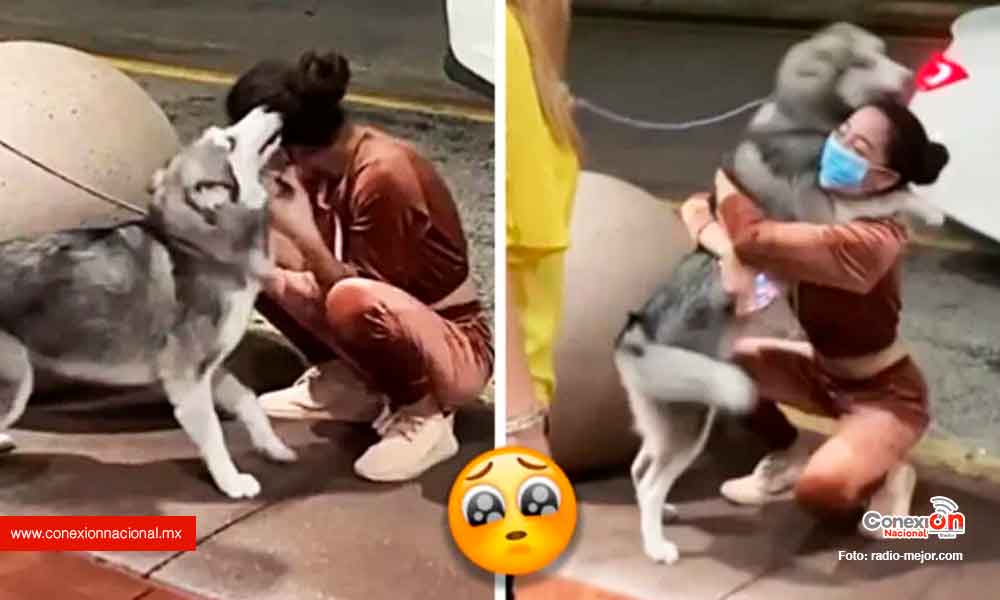 Policía logra recuperar a una perrita secuestrada