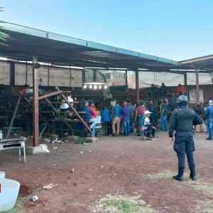 Polis desactivan pelea de gallos clandestina