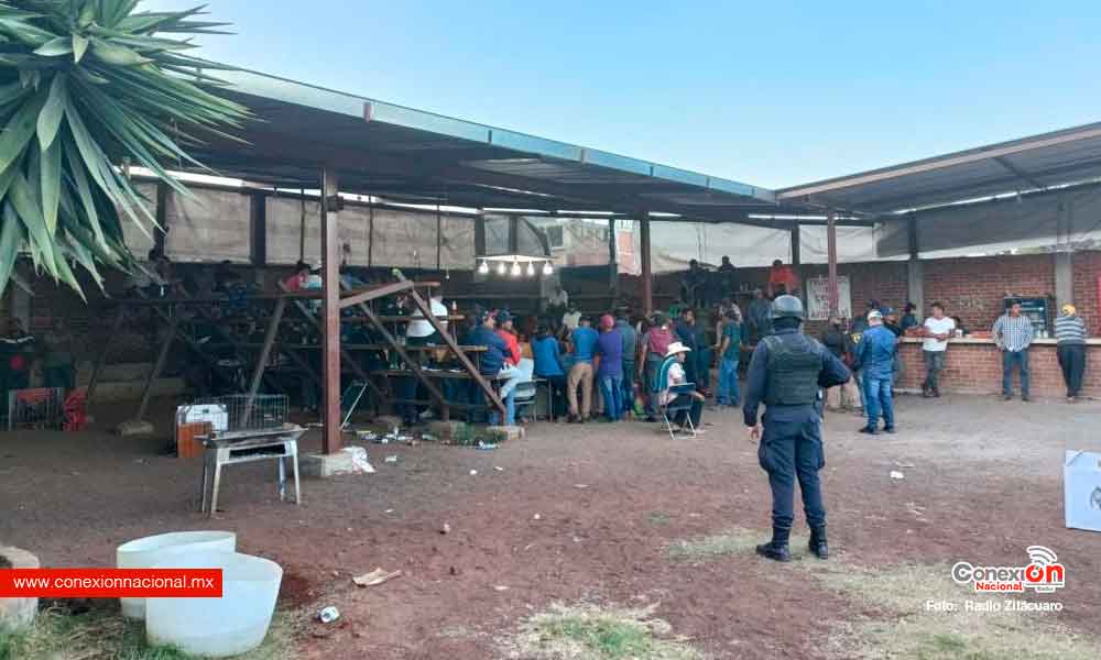 Polis desactivan pelea de gallos clandestina