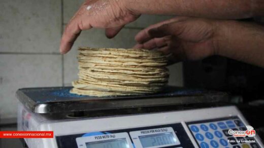 Kilo de tortilla alcanza los 28 pesos en Querétaro