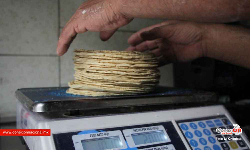 Kilo de tortilla alcanza los 28 pesos en Querétaro