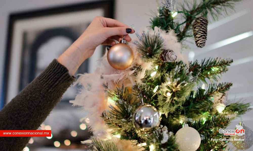 ¿Cuándo se debe poner el árbol de Navidad?