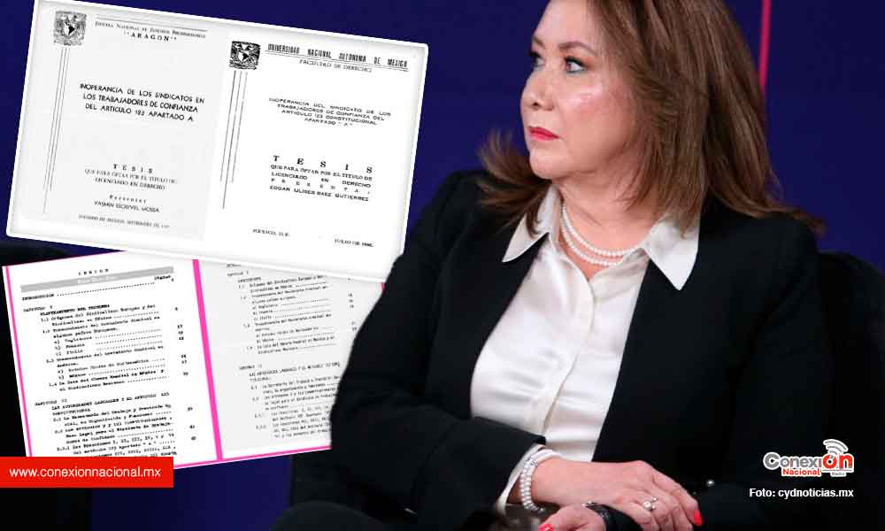 Coincidencias entre la tesis de la ministra