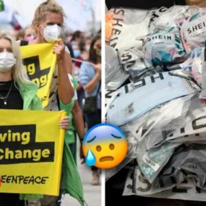 Greenpeace acusa a Shein de atentar contra la salud y el medio ambiente con sus productos