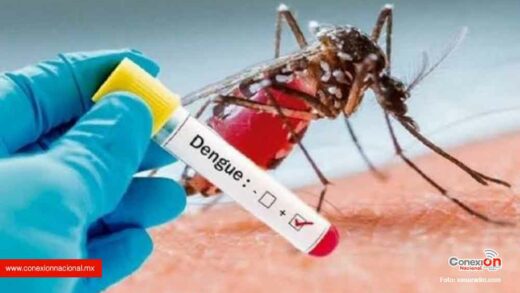 Muerte por dengue en la Mixteca