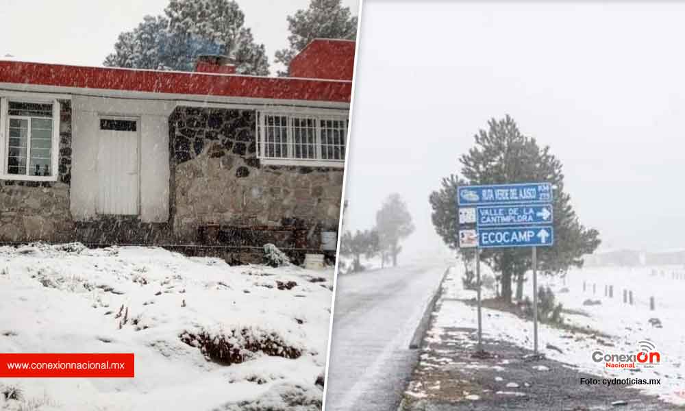 ¡Literal es Blanca Navidad!