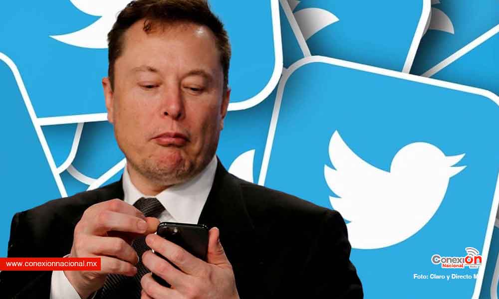 ¿Limpia en Twitter? anuncia Musk cancelación de cuentas fraudulentas