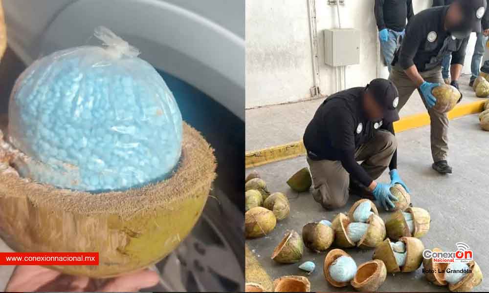 Incautan en Sonora cargamento