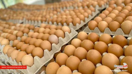 Huevo mexicano: el nuevo “oro blanco” que se contrabandea a Estados Unidos