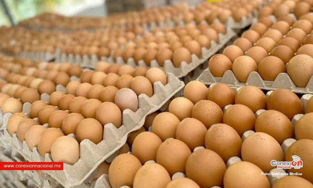 Huevo mexicano: el nuevo “oro blanco” que se contrabandea a Estados Unidos