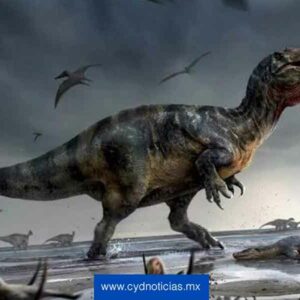 Científicos encuentran restos de un eslabón entre dinosaurios y pájaros de hace 120 millones de años