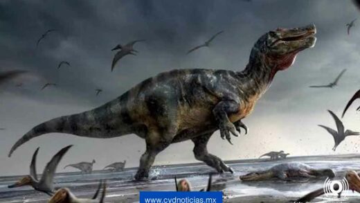 Científicos encuentran restos de un eslabón entre dinosaurios y pájaros de hace 120 millones de años
