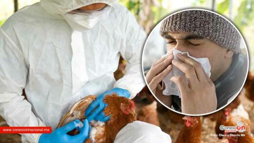Activa el gobierno emergencia nacional por gripe aviar