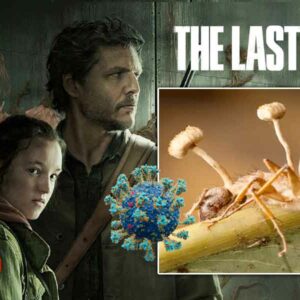 Last of Us ¿Ciencia ficción o un vistazo al futuro? impactante lo que muestra la nueva serie de HBO