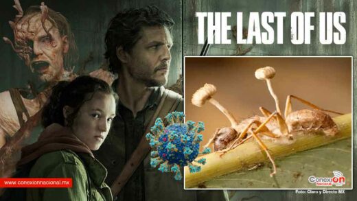 Last of Us ¿Ciencia ficción o un vistazo al futuro? impactante lo que muestra la nueva serie de HBO