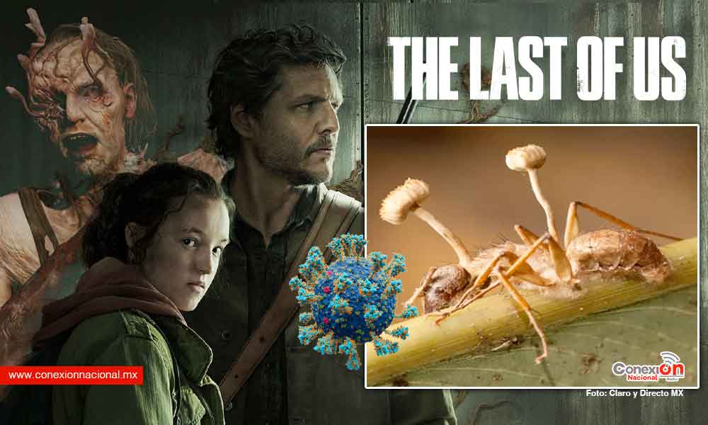 Last of Us ¿Ciencia ficción o un vistazo al futuro? impactante lo que muestra la nueva serie de HBO