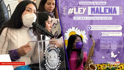 Feministas y diputadas presentan la iniciativa “Ley Malena” ante el Congreso