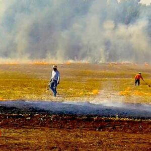 Aprueban reforma a la ley de protección al medio ambiente para regular las quemas agrícolas en Baja California