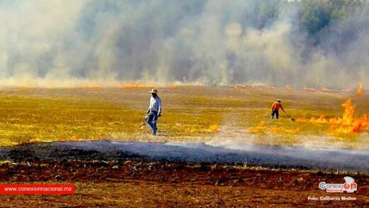 Aprueban reforma a la ley de protección al medio ambiente para regular las quemas agrícolas en Baja California