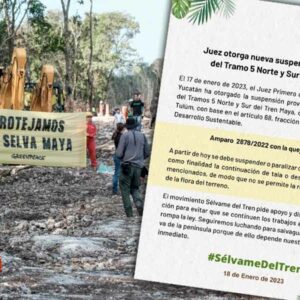Otra vez, un amparo a favor de ambientalistas, frena obras del tramo 5 del Tren Maya