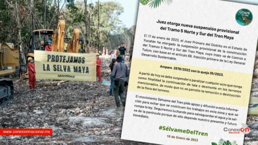 Otra vez, un amparo a favor de ambientalistas, frena obras del tramo 5 del Tren Maya
