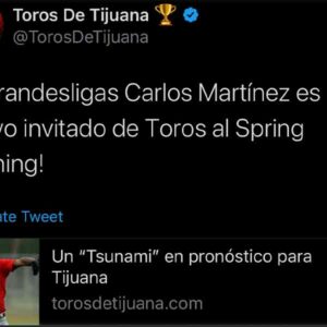 ¡BRAZO DE LUJO!