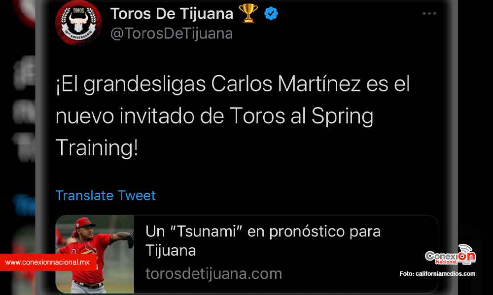 ¡BRAZO DE LUJO!