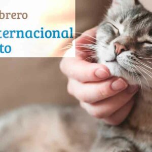 Feliz “Día Internacional del Gato” a todos los michis del mundo mundial