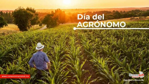Hoy celebramos a los científicos del campo mexicano, es Día del Agrónomo